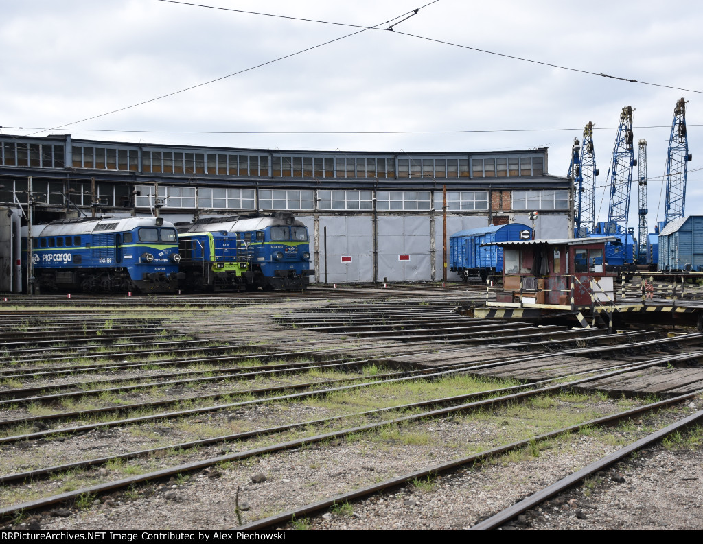 Roundhouse view 